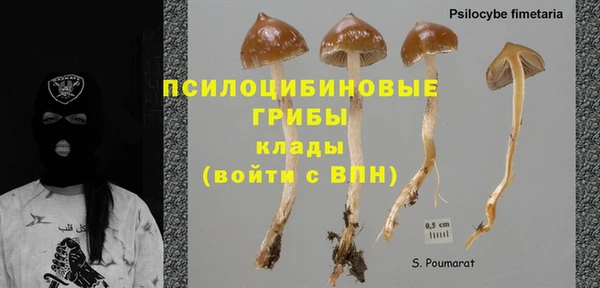 герыч Медногорск