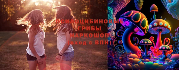 герыч Медногорск